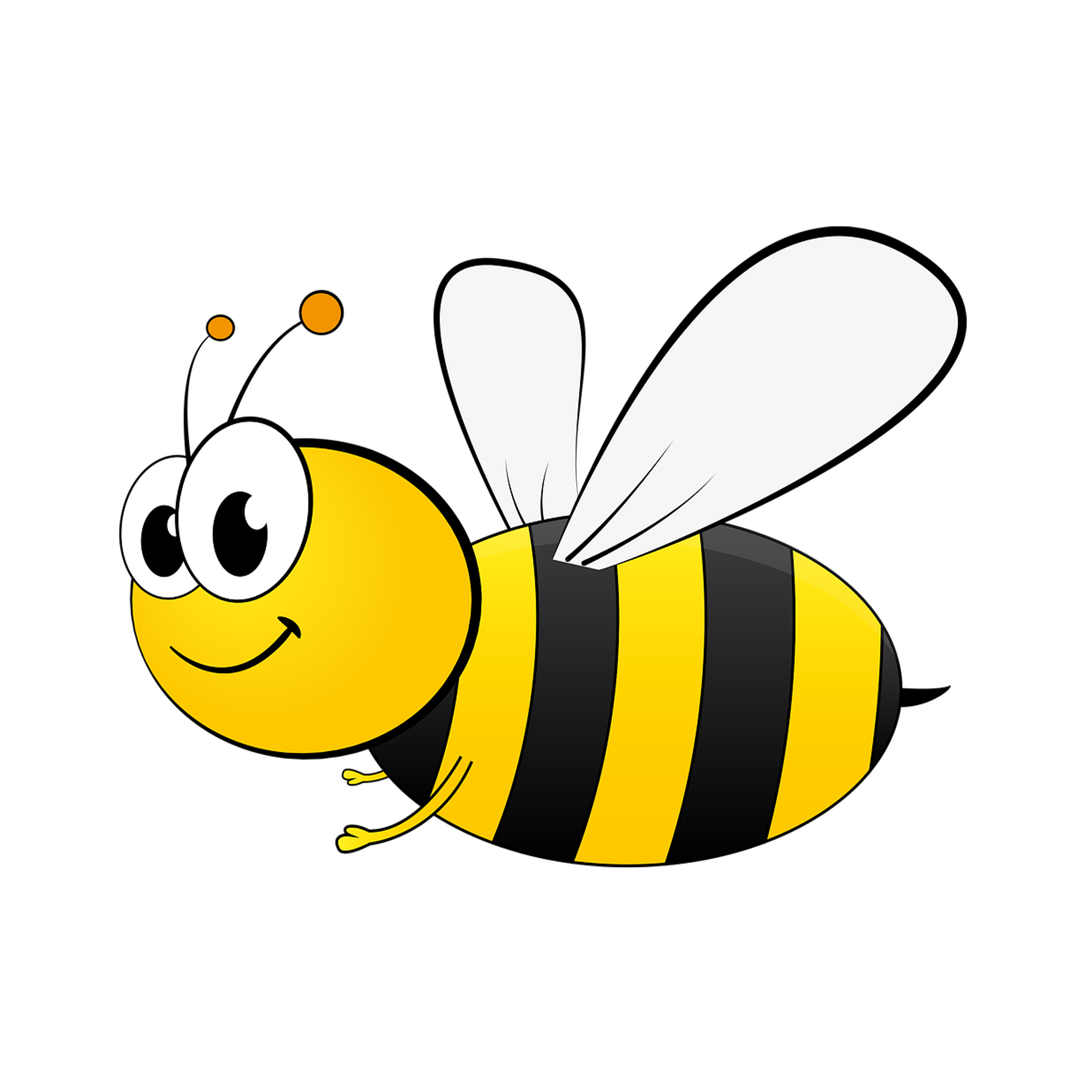 BeeCargo Logo